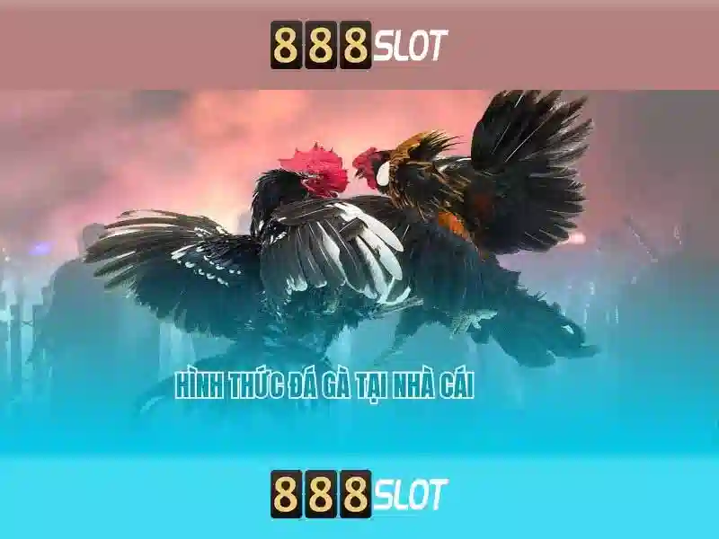 888slot: Đánh giá, trò chơi và mẹo chơi trực tuyến Giao diện nhà cái hoàn hảo