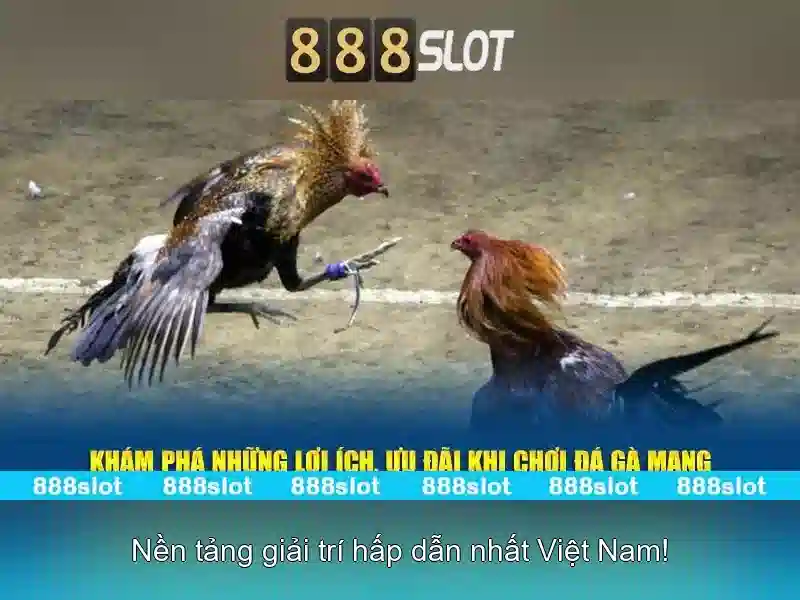 Giới thiệu về 888slot