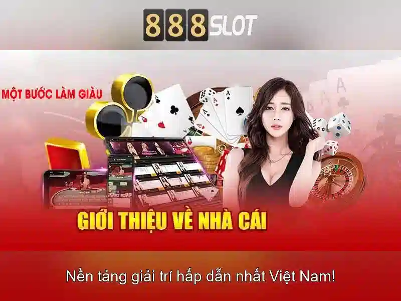 Hỗ trợ khách hàng và kết luận