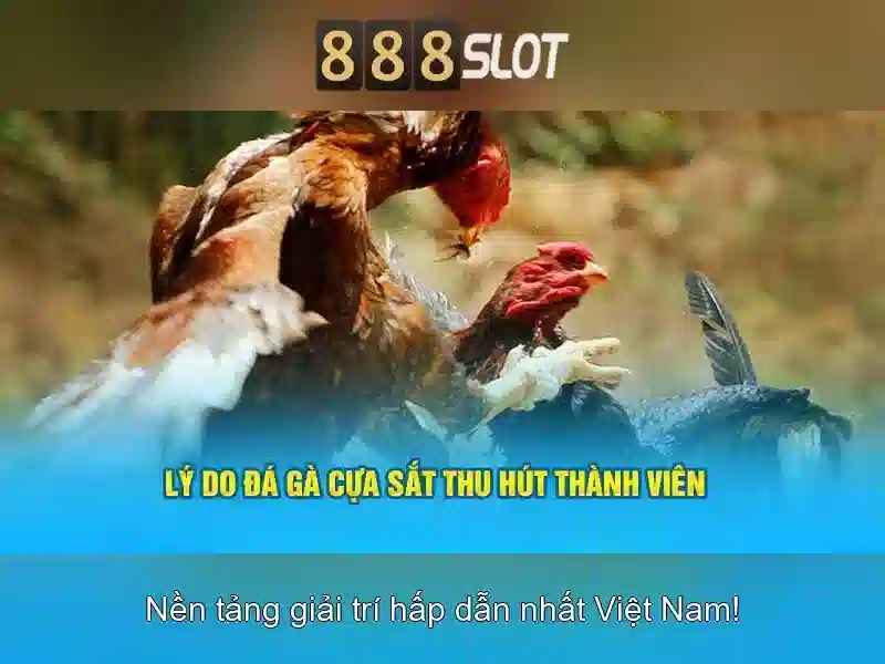 Khuyến mãi và thanh toán an toàn