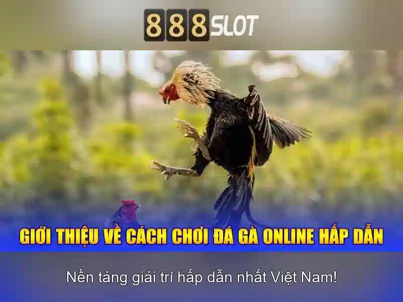 Giao diện nhà cái hoàn hảo