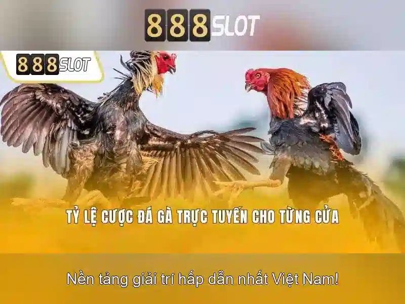 Khuyến mãi và thưởng