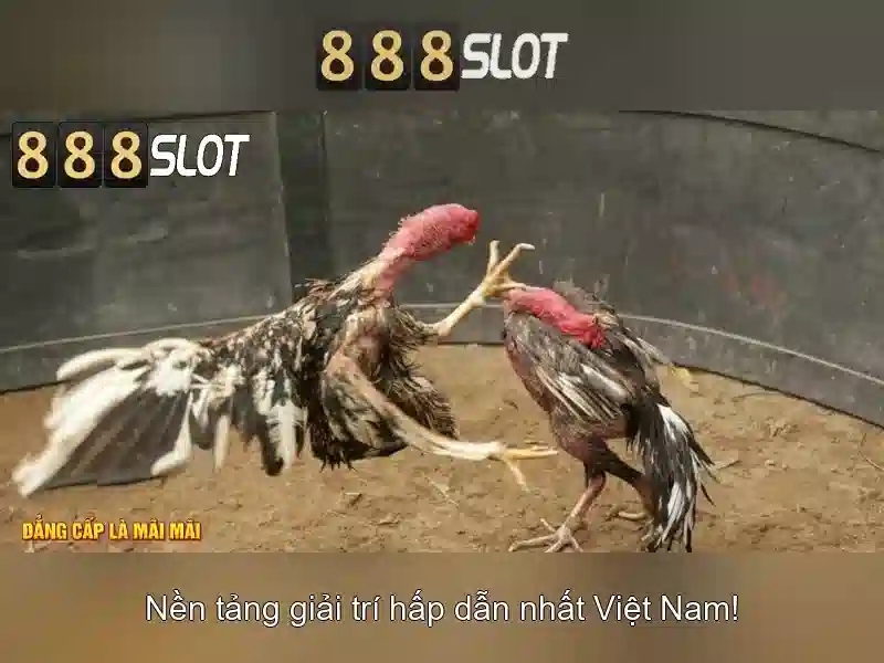 Toan canh ung dung tai 888slot