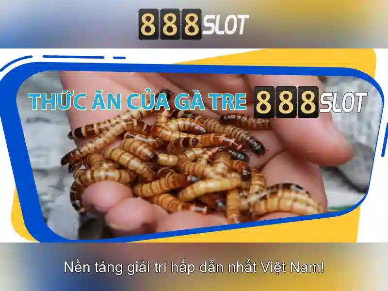 Hỗ trợ khách hàng và trải nghiệm người dùng