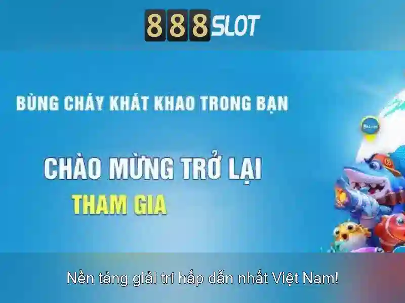 Trải nghiệm người dùng và phản hồi từ cộng đồng